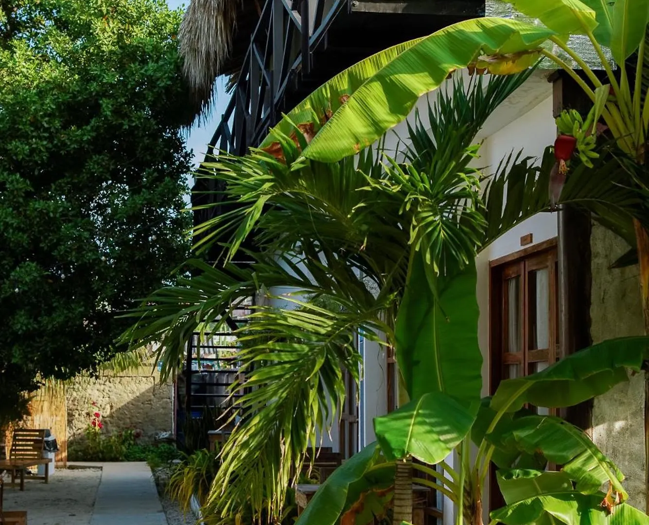 Baruna Eco Hostel Cartagena Colombia